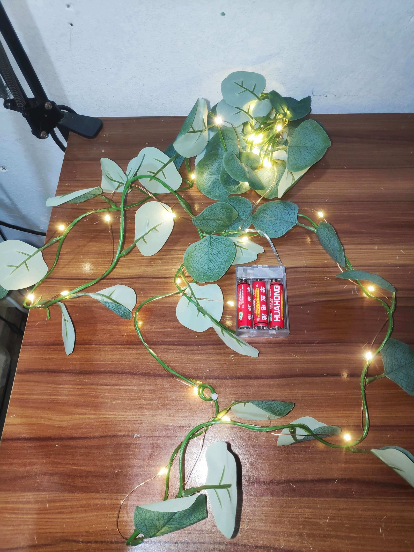 Eucalyptus leaf Vine-img-02